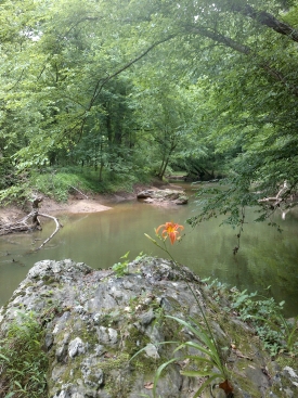 Seneca Park stream