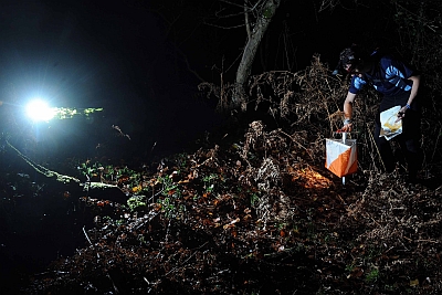 Night Orienteering