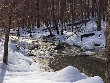 Glen Artney Winter Scene