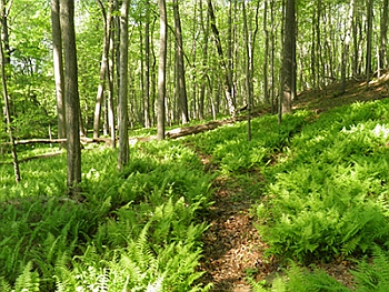 Jug Bay