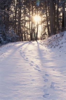 Footprints in Snow