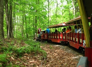 Cabin John Train Cabin John Train
